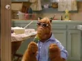 ALF Old Time Rock & Roll Bob Seger Musik Video (Music Video )