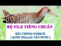 Download Lagu Bộ File Tiếng Chuẩn Bẫy Chằng Nghịch  (Quốc Hoa ,Gà Vằn Nước ) | Miễn Phí