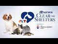 Clear the Shelters returns to help local pets find their forever homes