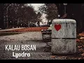 Download Lagu Kalau Bosan ( Lyodra)