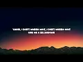 Amira Elfeky - Breakdown (Lyrics)