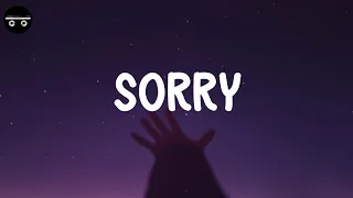justin bieber sorry lyric video 
