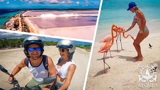 Scooters, Salt flats & Flamingos – We explore the island of Bonaire | Sailing Aequus – Episode 7