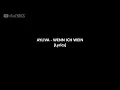 AYLIVA - WENN ICH WEIN [Lyrics]