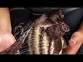 NAGO BRAID STEP BY STEP