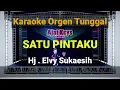 SATU PINTAKU - ELVY SUKAESIH / KARAOKE ORGEN TUNGGAL
