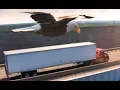 Southeastern Freight Lines