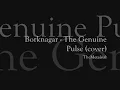 Borknagar - The Genuine Pulse (cover)