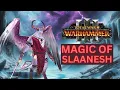 LORE OF SLAANESH SPELL GUIDE TOTAL WAR WARHAMMER 3