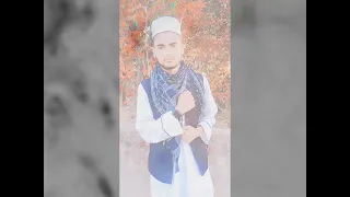 حافظ محمد زبیر دندنها