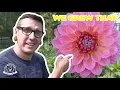 What We Learned Our First Year Flower Farming First Time Farmers