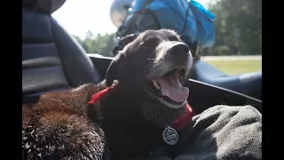 Go West My Son – Moto Dog Diaries 29