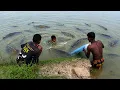 Unbelievable Cast Net Fishing Catching Lot Of Fish By Cast Net Fishing