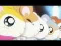 Download Lagu Tottoko Hamutaro Dechu OP 2