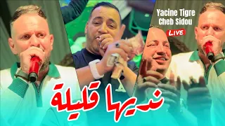 Yacine Tigre Ft Cheb Sidou نديها قليلة N3alamha L Amour Avec Okba Rega Live 2025  Yacine Tigre Ft Cheb Sidou نديها قليلة N3alamha L Amour Avec Okba Rega Live 2025