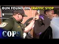 Unexpected Find Deputy Rogers Discovers a Gun During Traffic Stop Cops TV Show