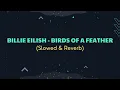 Lagu Billie Eilish - BIRDS OF A FEATHER (Slowed+Reverb)