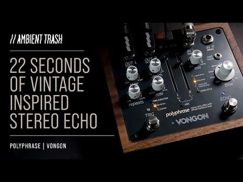 Vongon Polyphrase Stereo Echo | Delicious Audio