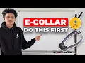 Do These 5 Things BEFORE Using an E-Collar