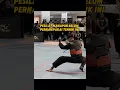 Download Lagu Pesilat manapun belum pernah pakai tehnik ini