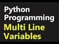 Python Programming Multiple variables in one line