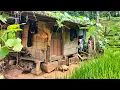 Download Lagu Alam pedesaan yang indah dari kampung terpencil, benar benar serpihan surga