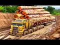 Download Lagu Dangerous Idiots Crazy Logging Truck Fails Transport Skill, Heavy Fastest Huge Tree Chainsaw Climber