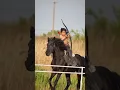 Download Lagu The boy in the video is called Liu Yi from China 🇨🇳 Learn horse riding and archery from this child