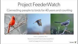 The History and Legacy of Project FeederWatch: Connecting people to birds for 40 years and counting