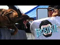 Deadly Decoys - K9 PSA Ottawa 2022