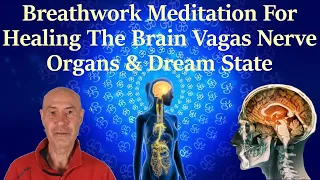 Breathwork Meditation For Healing The Brain, Vagas Nerve, Organs, & Dream State.