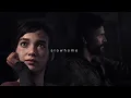 the bug collector - ben scott slowed looped