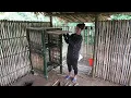 Download Lagu Single Mom Makes Bamboo Cabinets and Harvests Bean Sprouts, Life Off the Grid!