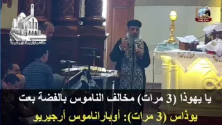 معلومات أول مرة تسمعها عن دورة يهوذا دندنها