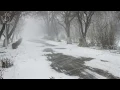 Download Lagu 💨 Winter Storm Ambience with Howling Blizzard and Drifting Snow on an Abandoned Road in Norway.