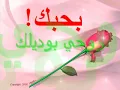 فارس كرم الله وكيلك مع الكلمات