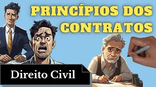 Princípios Contratuais (Direito Civil) - Resumo Completo