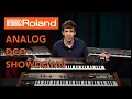Lagu Roland Juno 106 \u0026 Juno 60 vs. JX-3P \u0026 JX-8P - Analog DCO Showdown