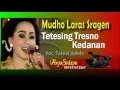 Lagu Mudho Laras 2016 TETESING TRESNO ~ KEDANAN Cokek Mania