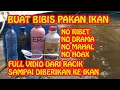 Download Lagu Membuat bibis pakan ikan pertumbuhan cepat no HOAX -  Mitra Winaya