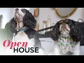 The Stylish and Dog-Friendly Chelsea Apartment of Style Expert Katie Sturino Open House TV