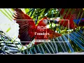 🎵 ROA - Freedom 🎵 [NO COPYRIGHT MUSIC] 🔊