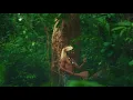LAMALGAME - Bassé ( clip officiel )