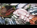 Best Seafood Market Everything is Fresh