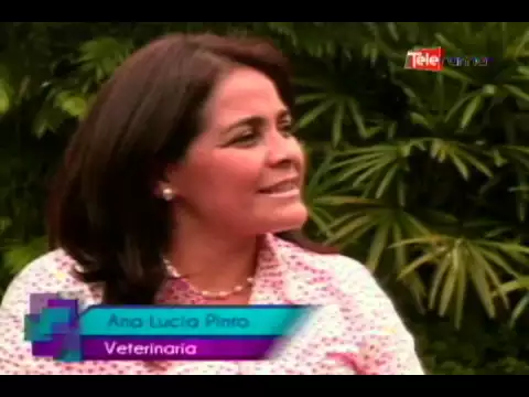 Cuidado responsable de mascotas en los niños