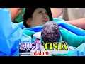Suci dalam cinta malam ini mengejutkan Amira melahirkan...