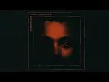 The Weeknd - I Was Never There, Outro Only