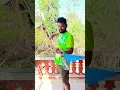 Lagu Amba Pikato Ras Galato #kokan #mango #viral #Short #village