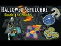 Hallowed Sepulchre Guide for Noobs