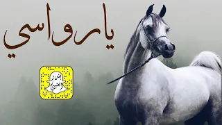 شيلة يارواسي اداء وسم 2022 حصريا 